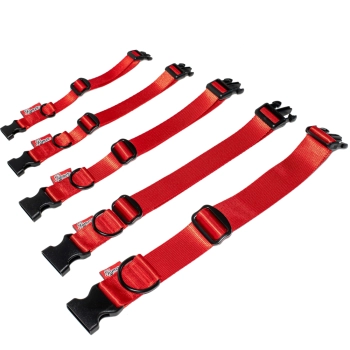 Halsband BASIC - rot